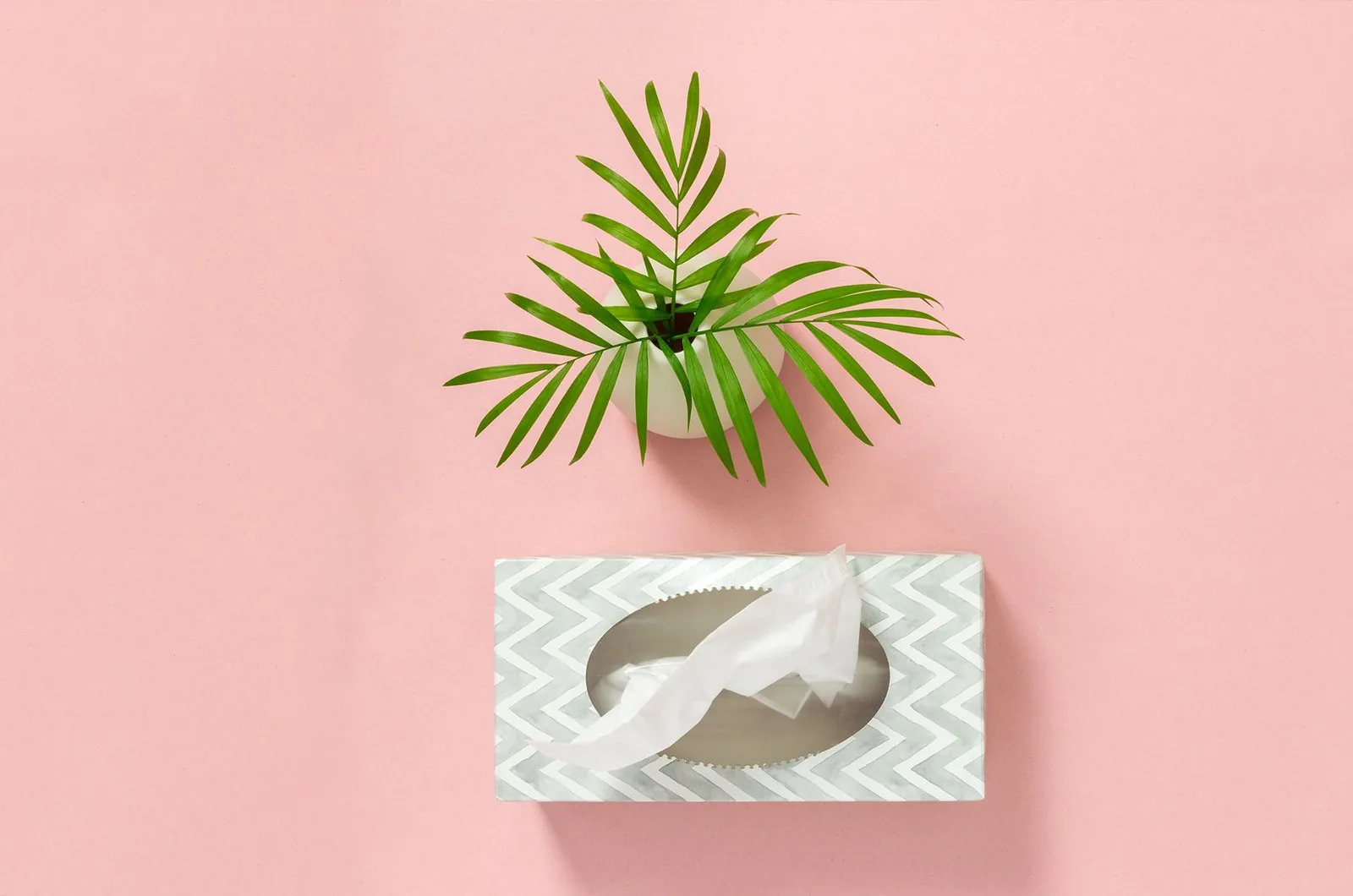 Tissue, Roll & Other Products