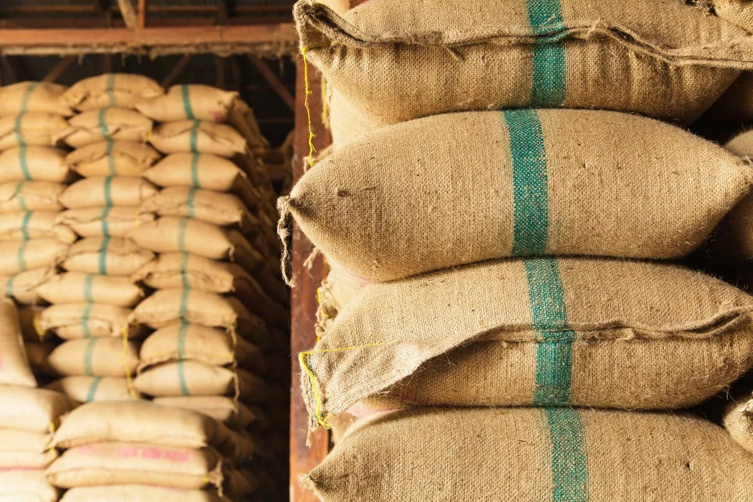 Stacked jute sacking bags filled with grain