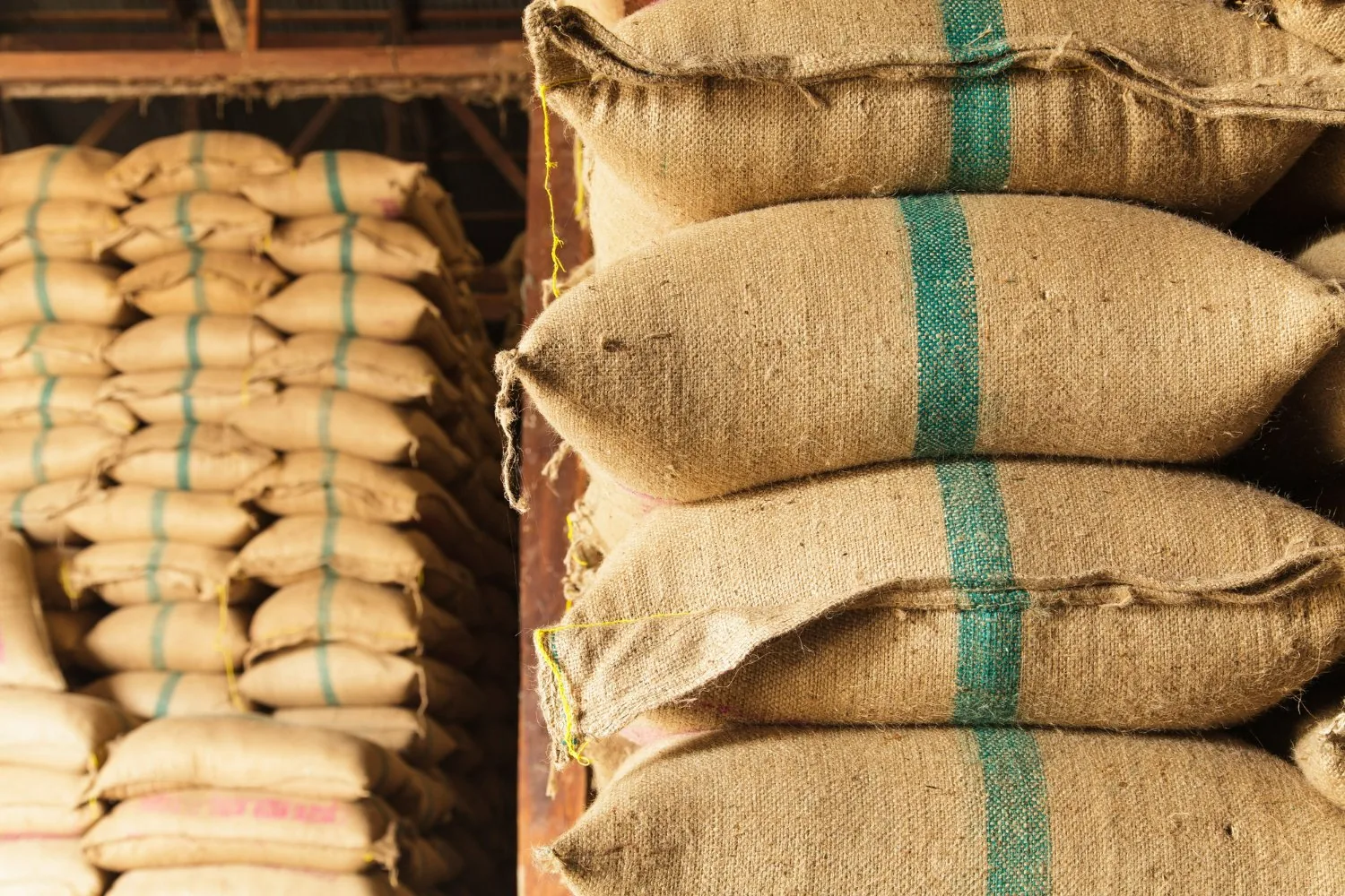 Export Quality Jute Bags: The Growing Demand for Sustainable Packaging Worldwide